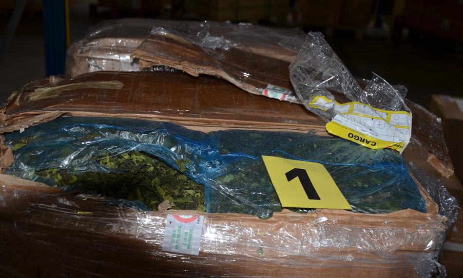 2016-10-25-1440foto 2.jpg